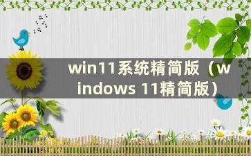 win11系统精简版（windows 11精简版）